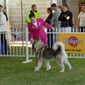 dsc01201