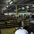 dsc01205