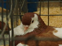 dsc01319