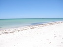 dsc01680